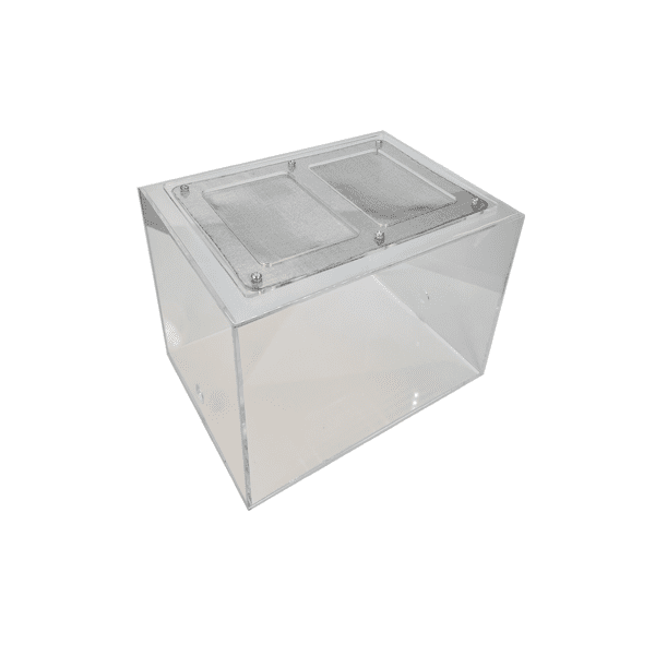 Die Außenwelt groß