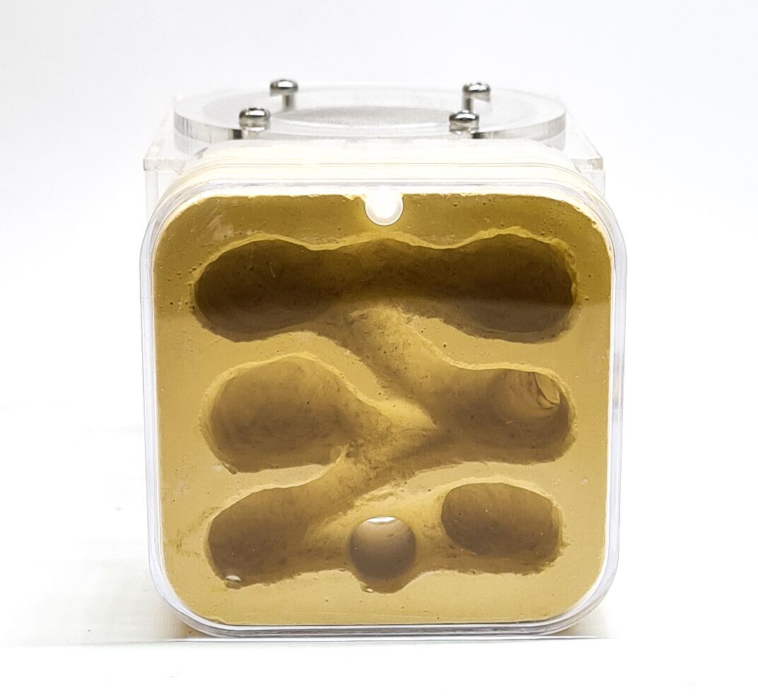 Gipsnest met buitenwereld QG3