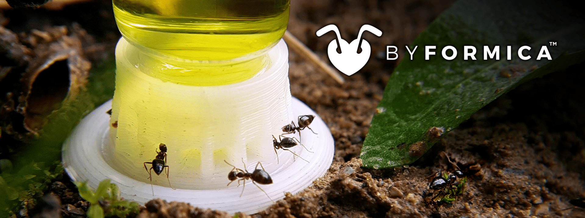 byformica3