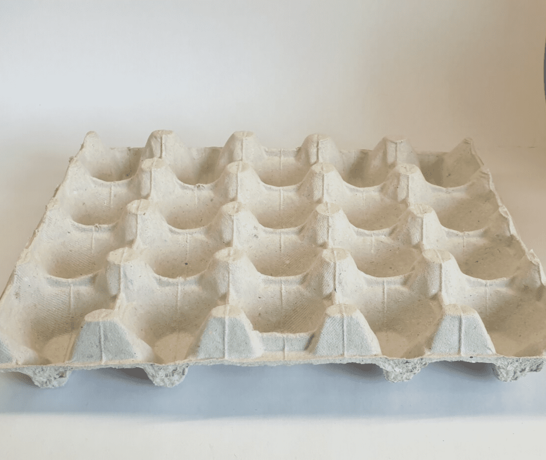 Boîte à œufs de 10 pièces