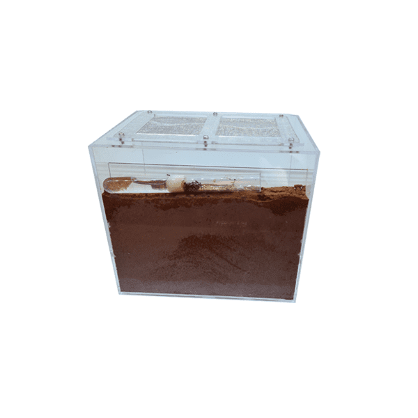 Nid de sable rempli 2