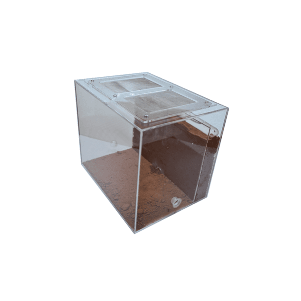 Nid de sable rempli 3