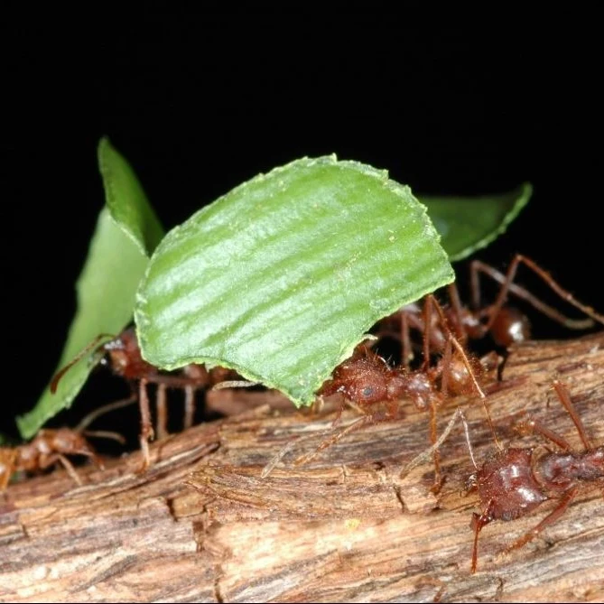 IMG_20220812_152753_986