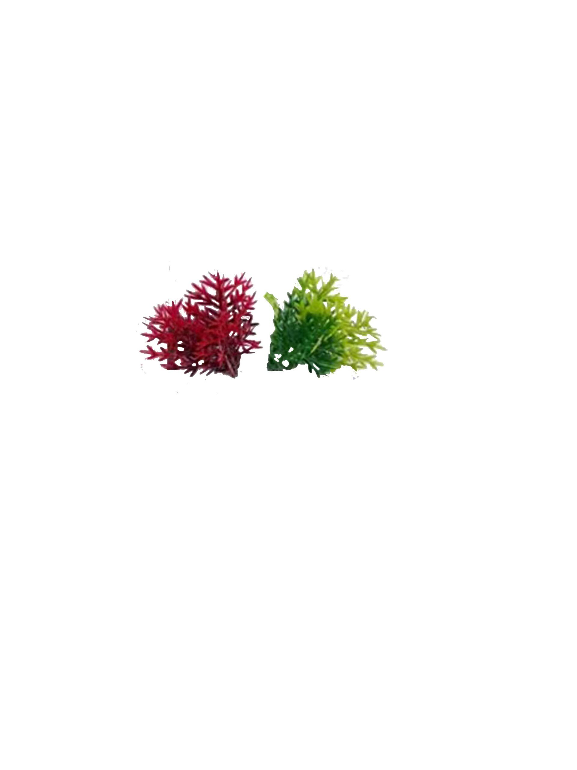 Mini césped rojo y verde mini arena de hormigas de hierba