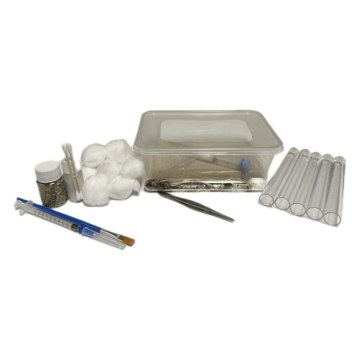 1762350933.2614899-109E39C5-158A-4E7C-A611-4232C31483A4