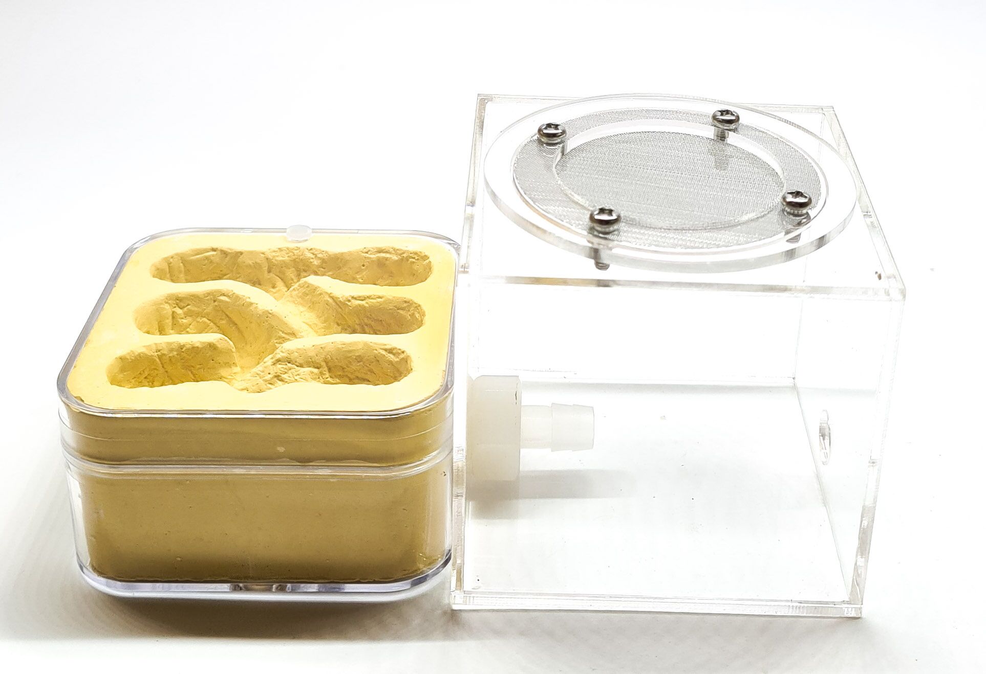 Nido di gesso con mondo esterno QG2-2