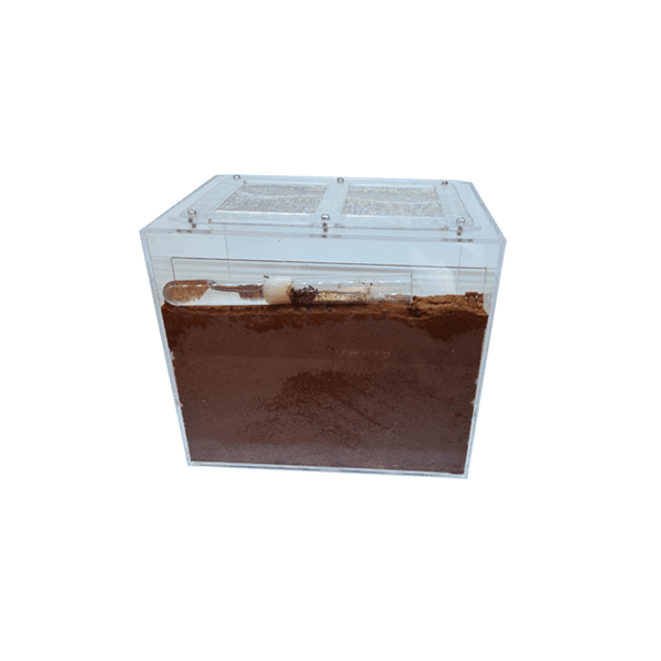 Nid de sable rempli 2