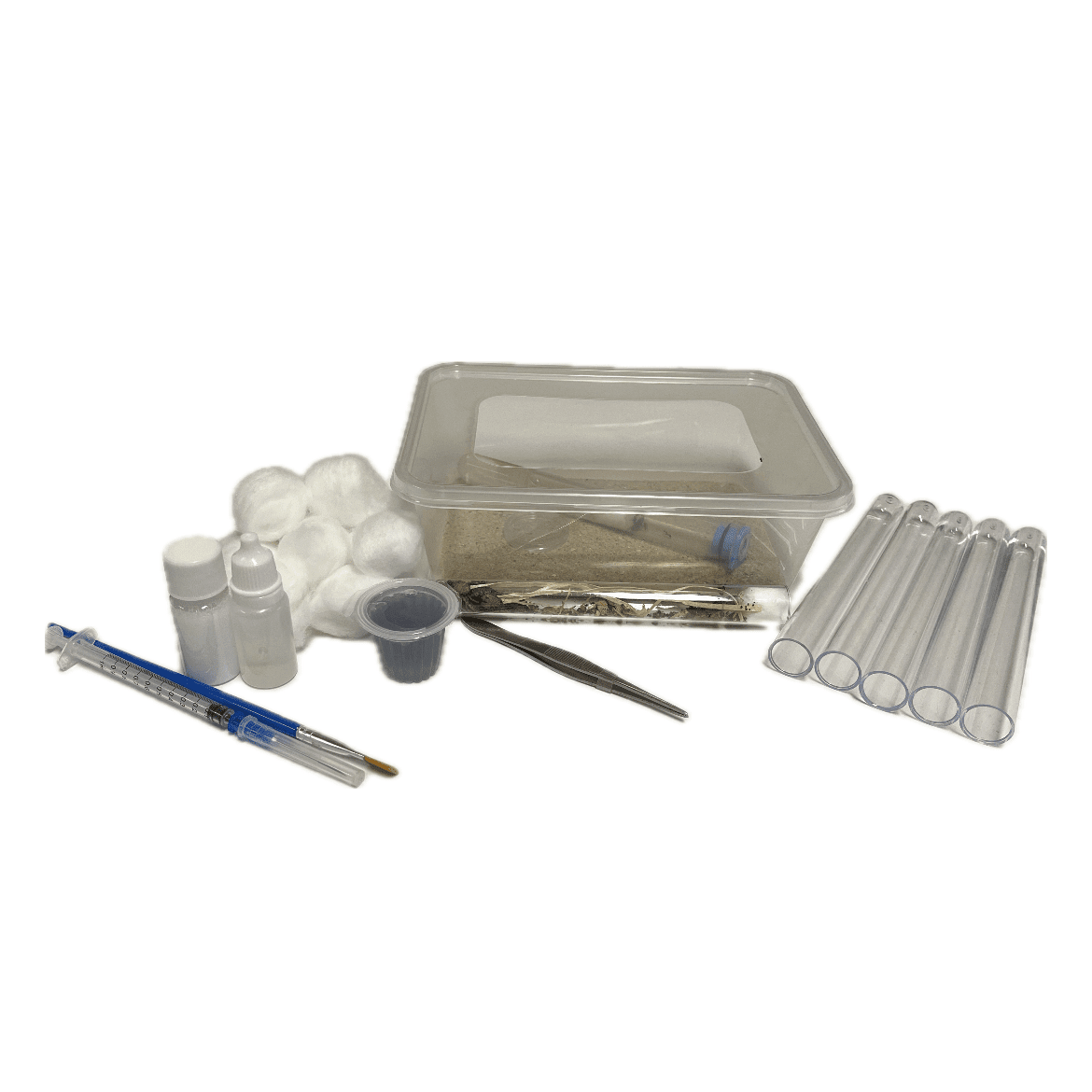 1762350735.5495892-9E987FA3-DF83-4E61-AACD-FB7B65EF773C