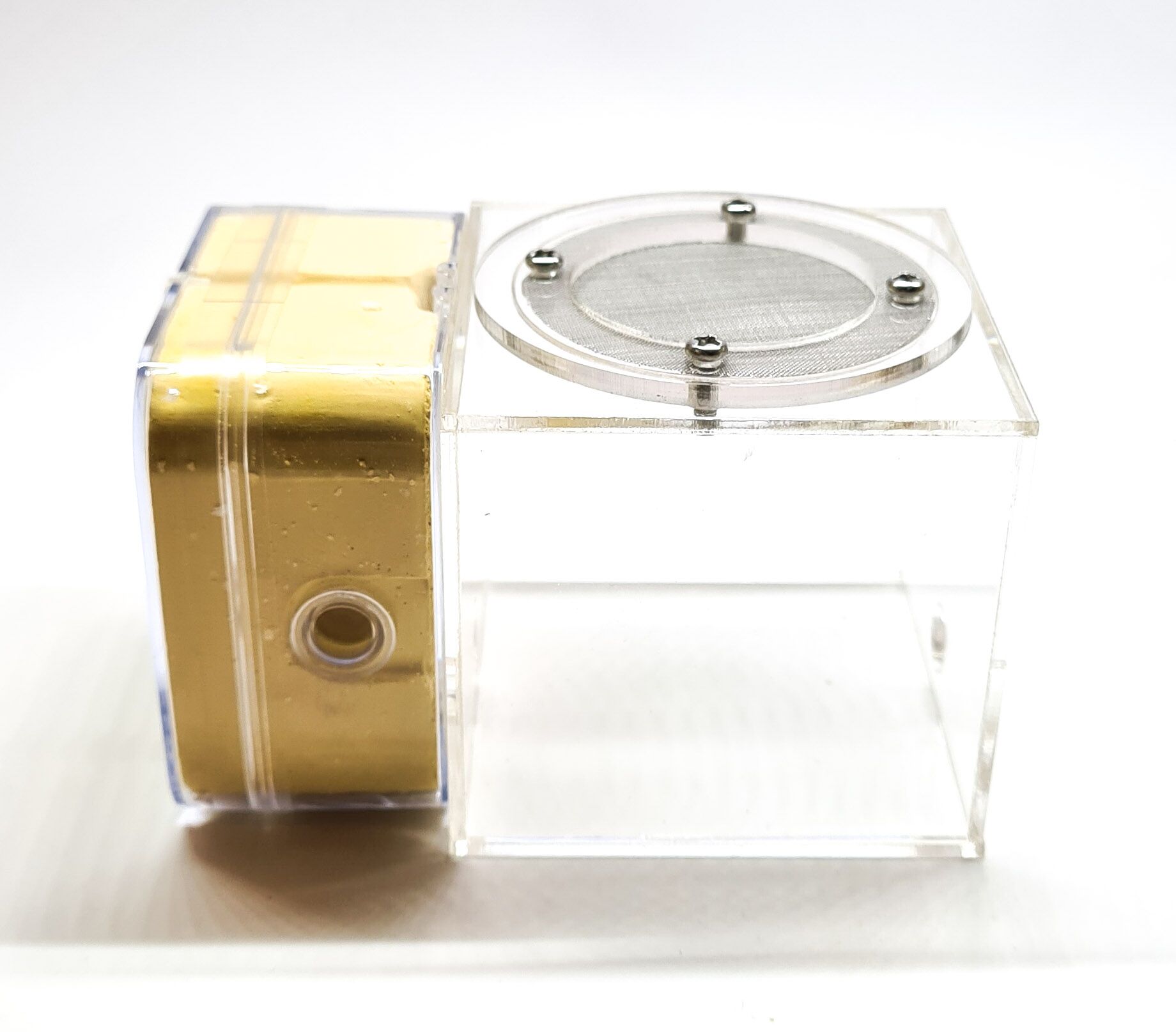 Plaster nest with outside world QG3-2