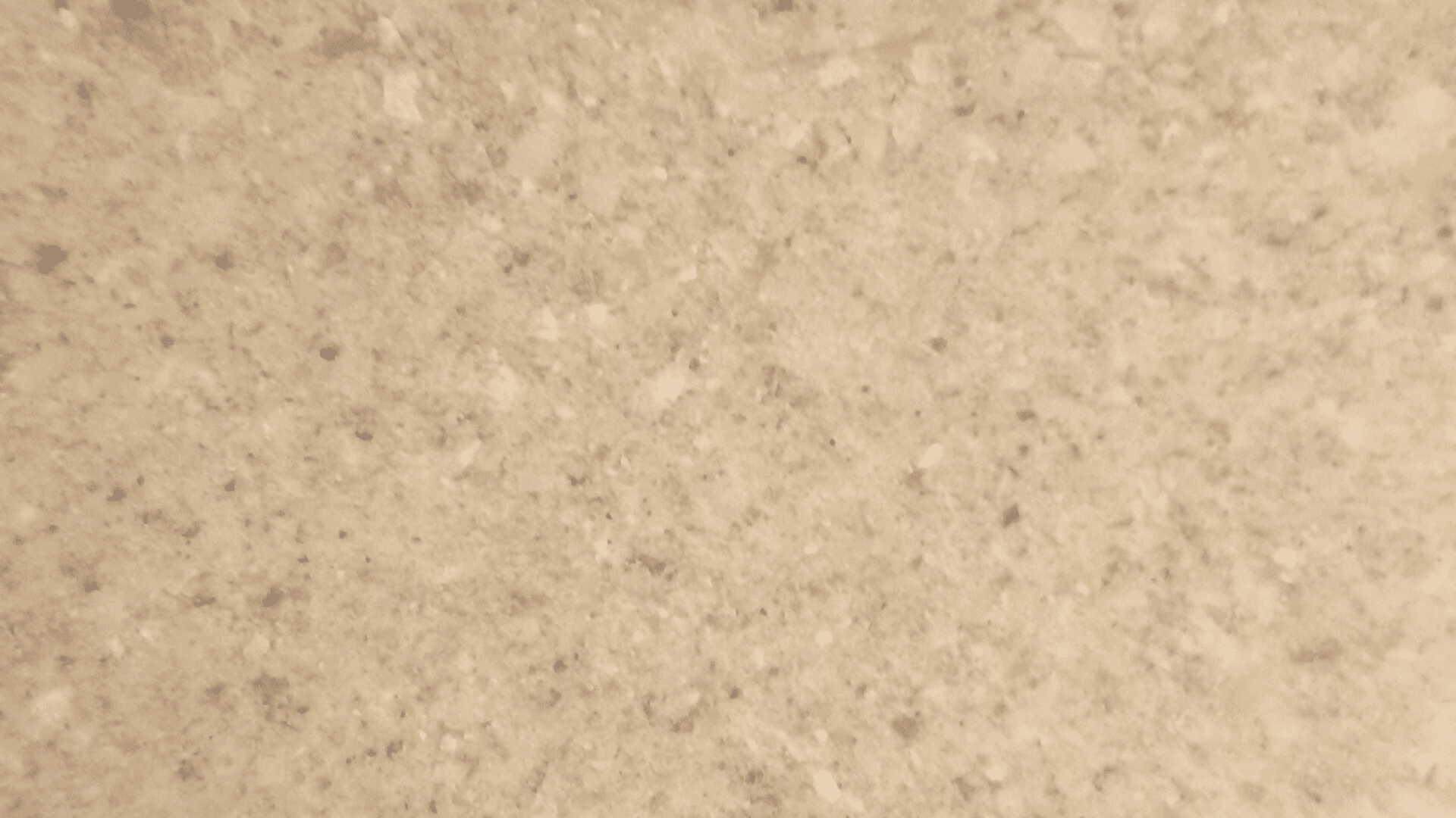 alimento para insectos1