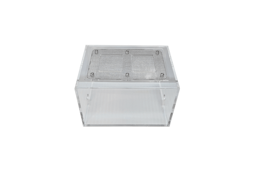 Mundo exterior medio 1