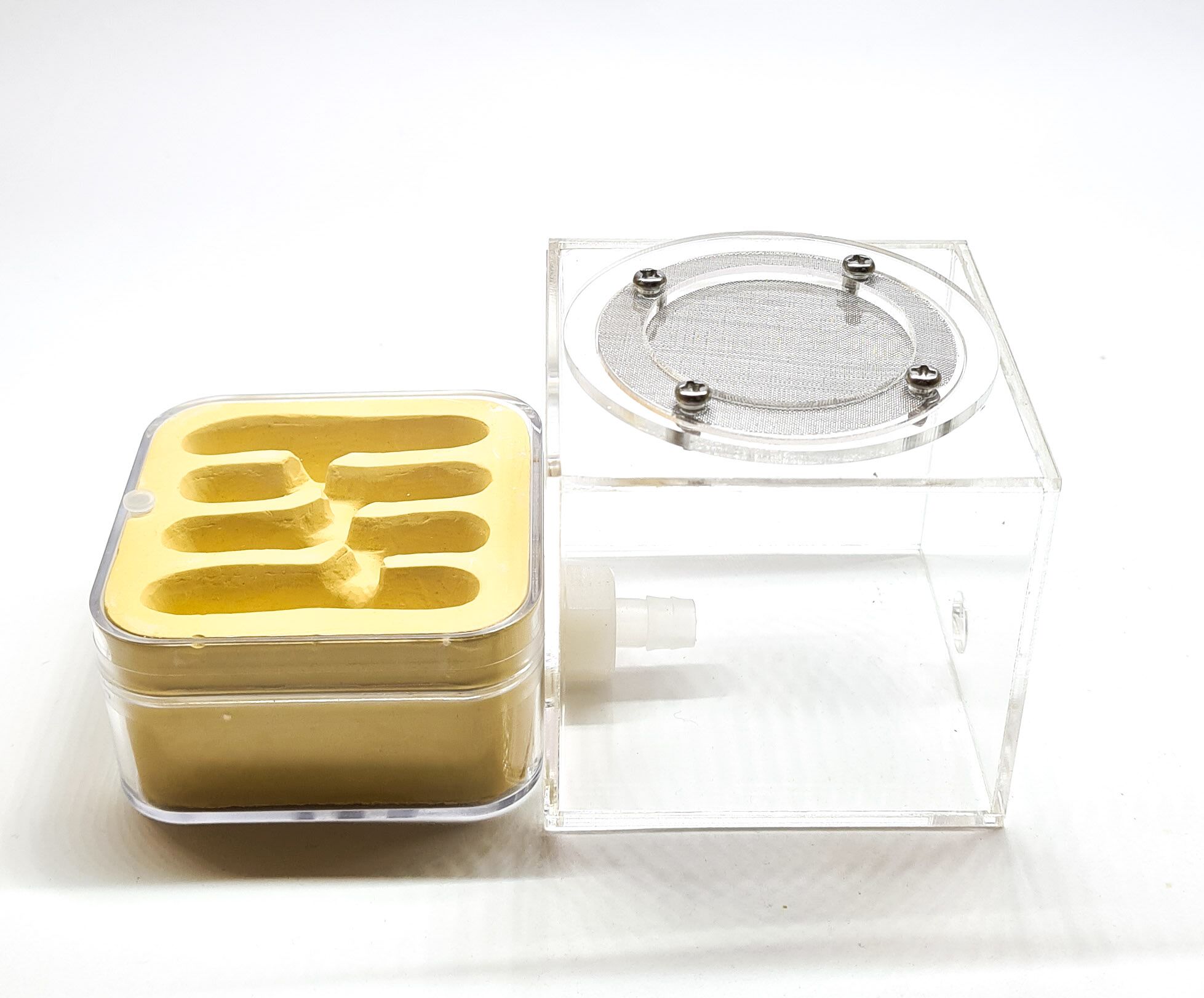 Plaster nest with outside world QG4-2