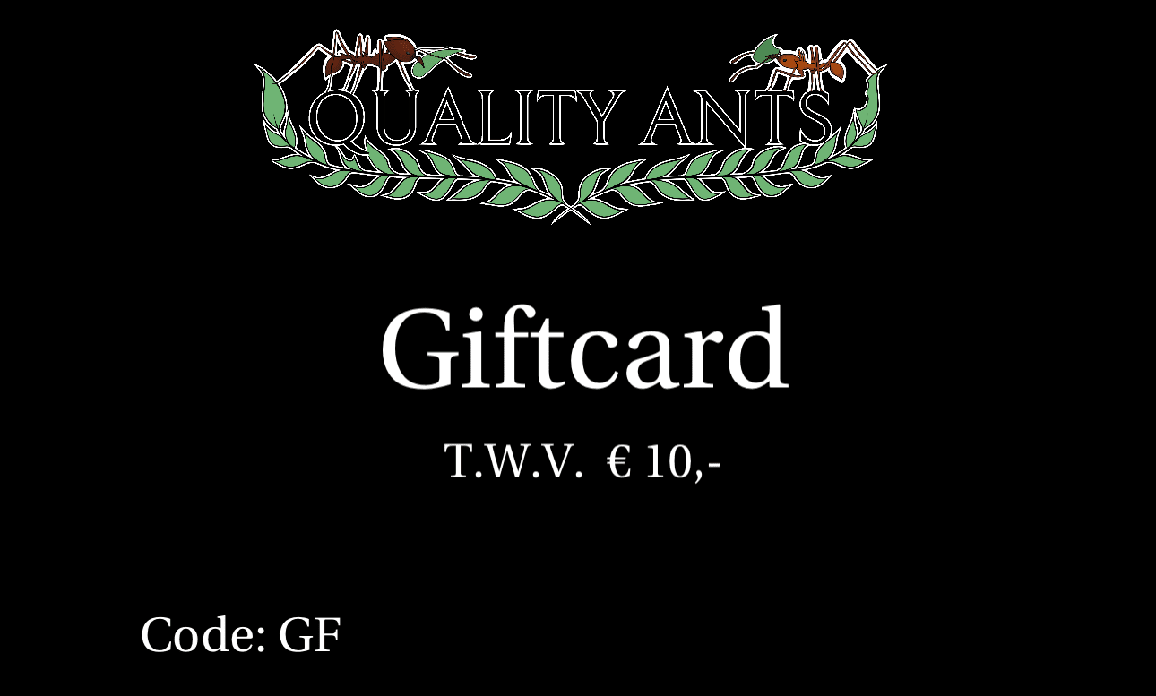 1765034057.320648-025F1A3D-56FA-4779-B919-09D85ECC6D73