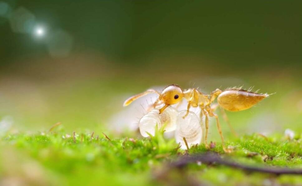 Screenshot_20220531-232530_Facebook