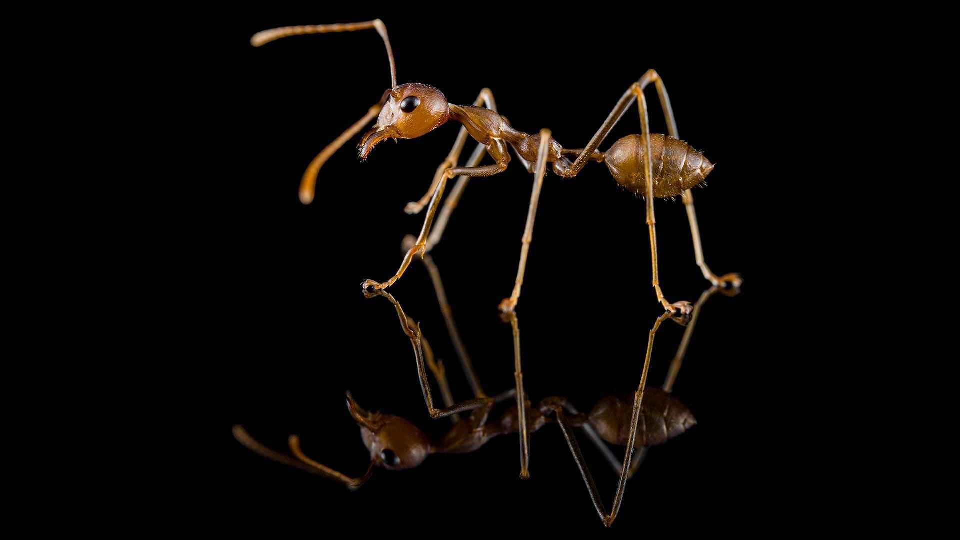 B4F0944D-063E-4589-93F2-9A5C9EEB67F5